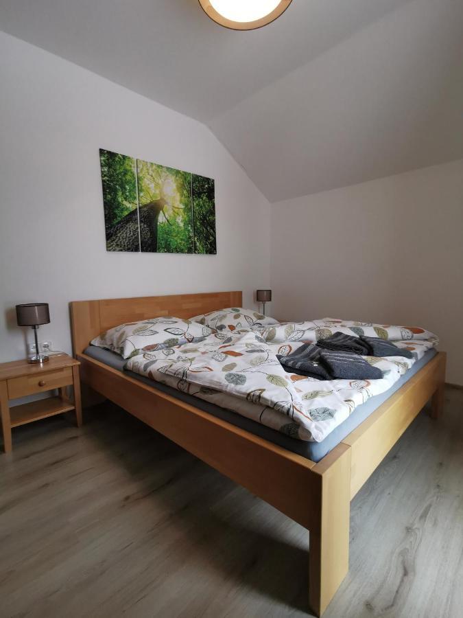 Apartman 5 Klinovec Lägenhet Loučná pod Klínovcem Exteriör bild