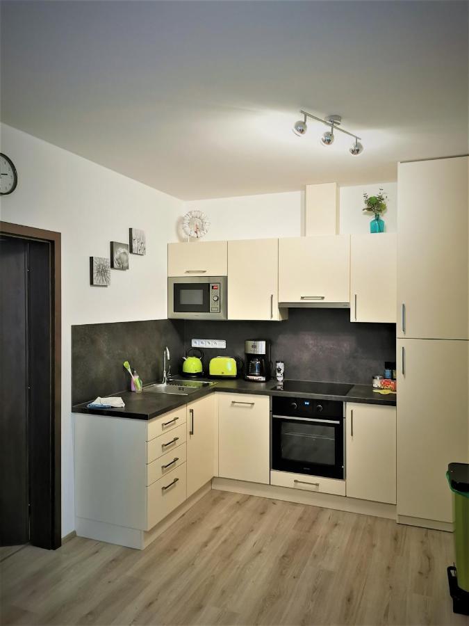 Apartman 5 Klinovec Lägenhet Loučná pod Klínovcem Exteriör bild